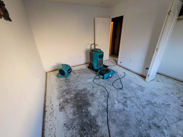 Best Water damage restoration experts  in Sitka, AK