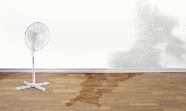 Best 24/7 water damage repair  in Sitka, AK