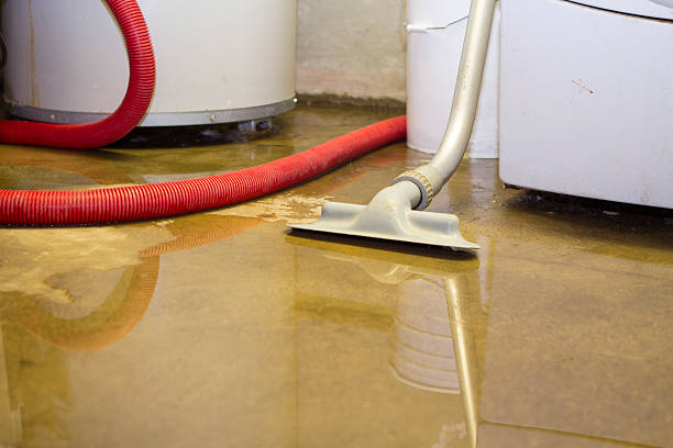 Professional Water damage restoration in Sitka, AK