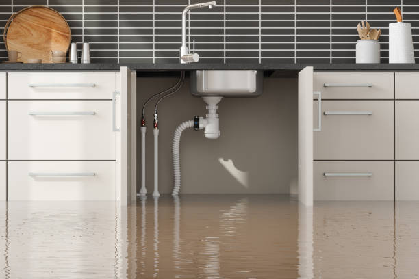 Best 24-hour water damage restoration  in Sitka, AK